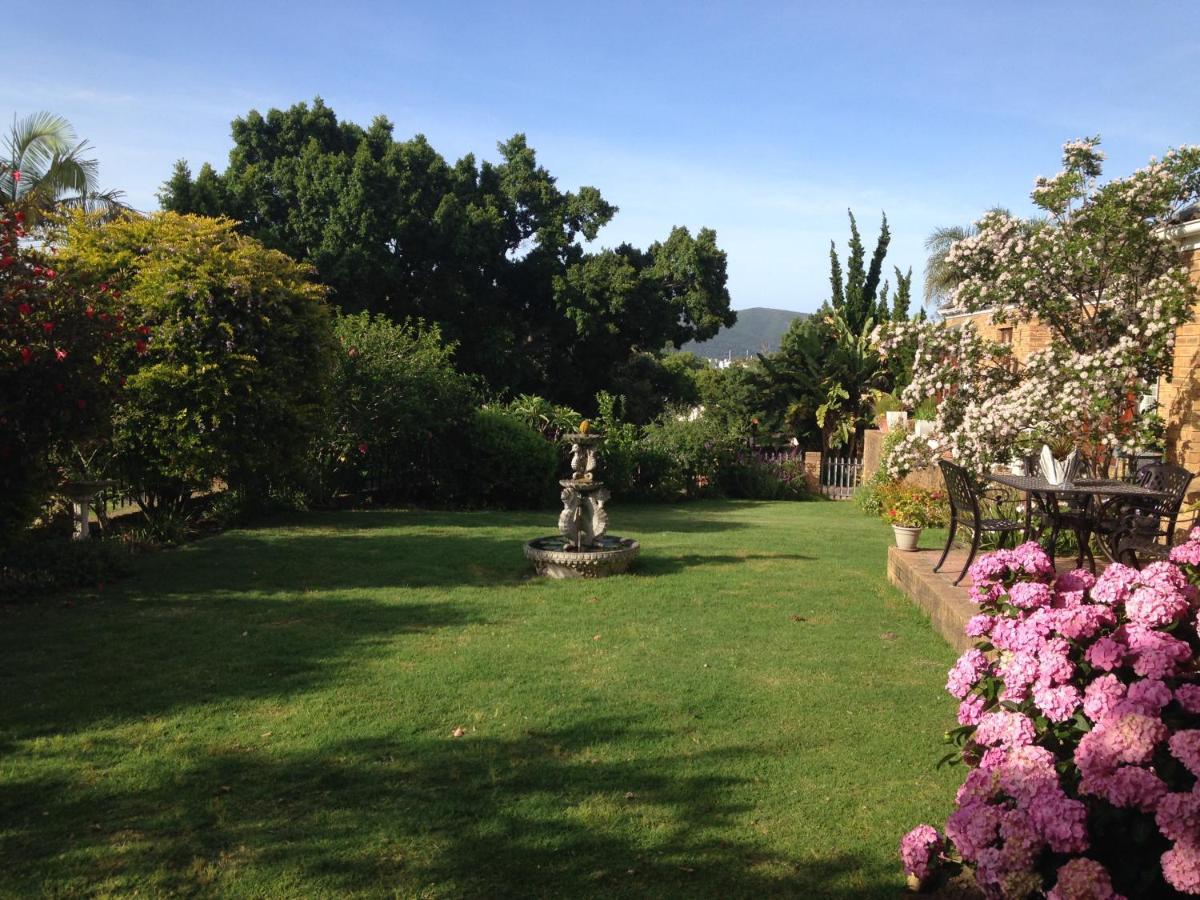 Blue Fern Of Knysna Bed & Breakfast Luaran gambar