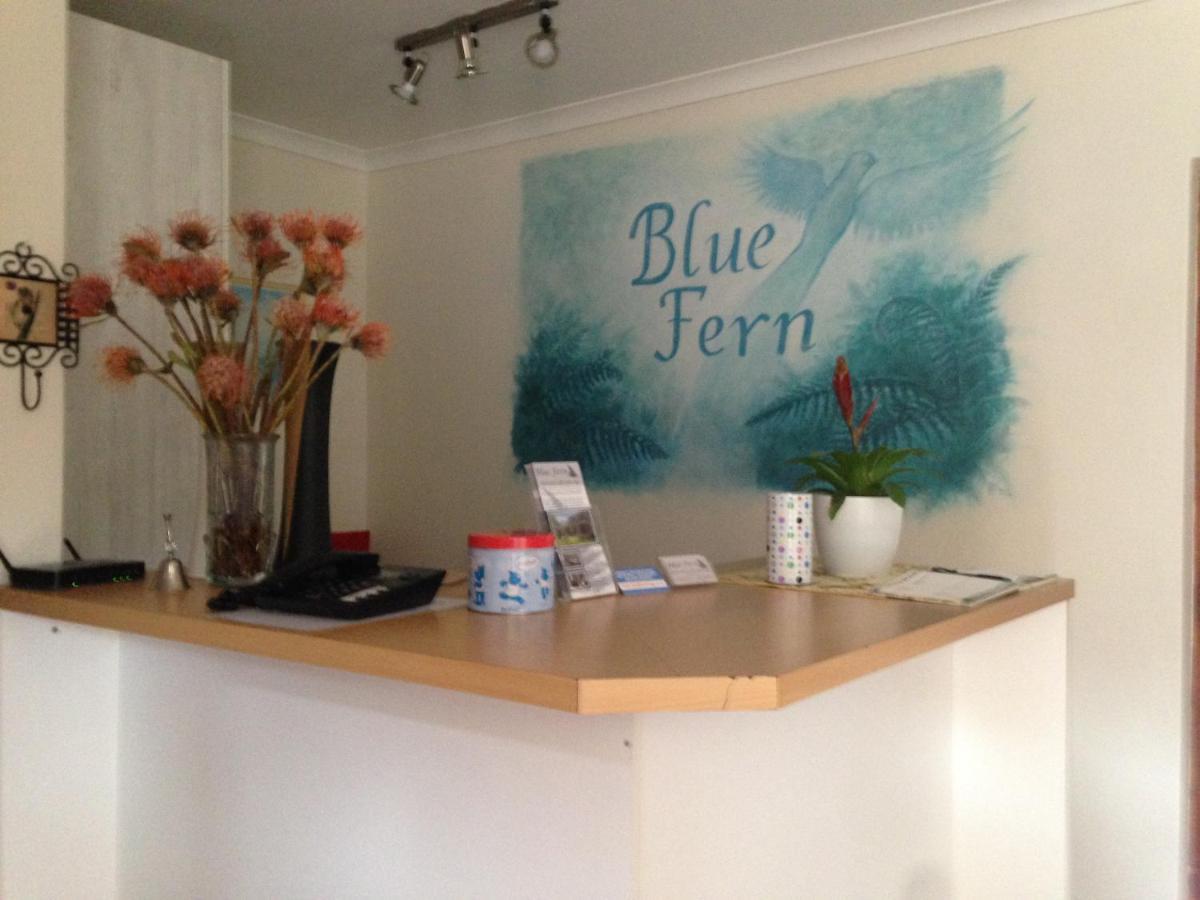 Blue Fern Of Knysna Bed & Breakfast Luaran gambar