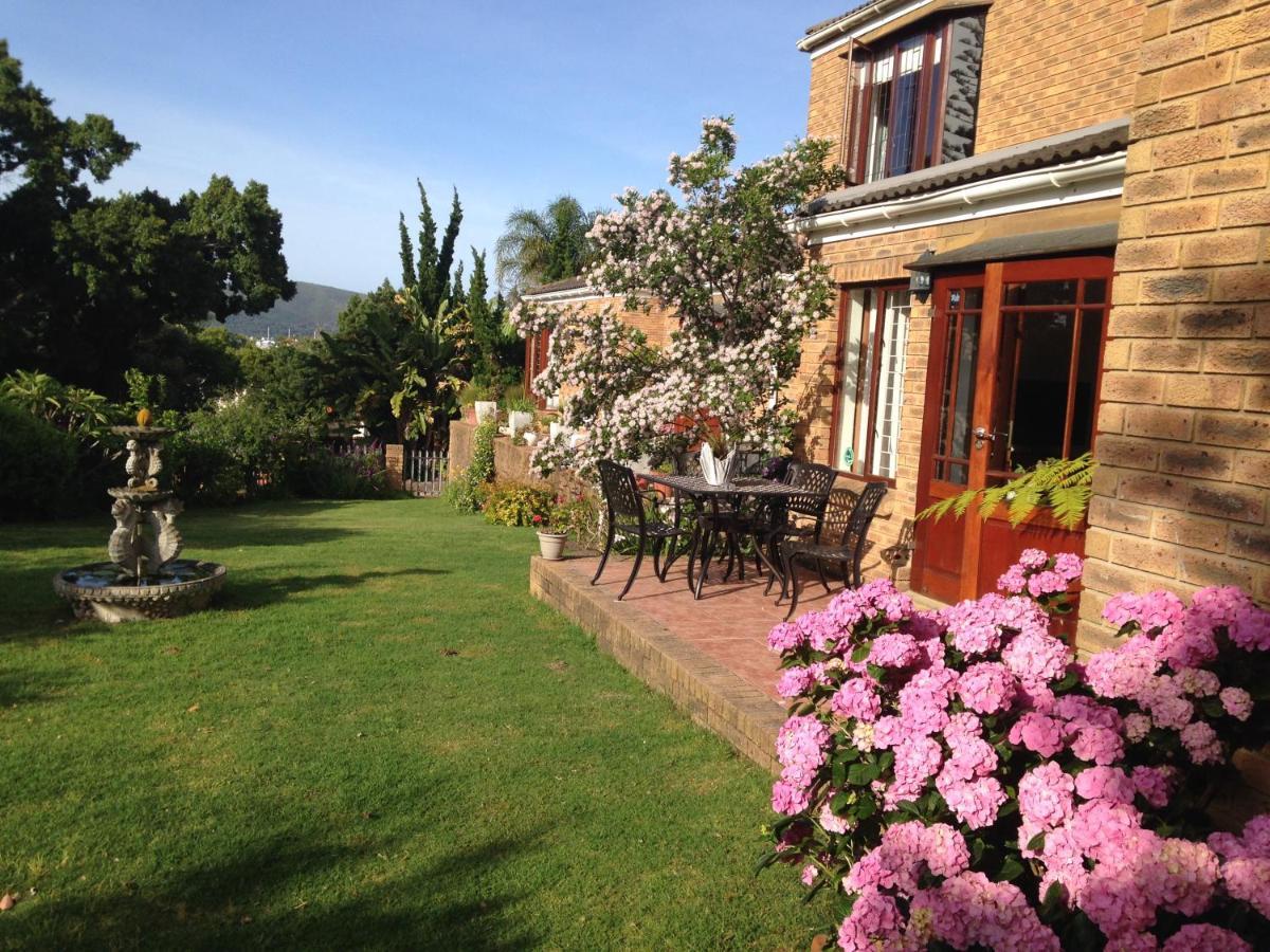 Blue Fern Of Knysna Bed & Breakfast Luaran gambar