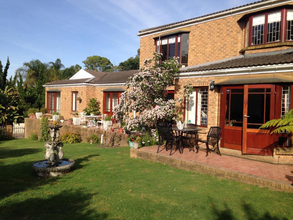 Blue Fern Of Knysna Bed & Breakfast Luaran gambar