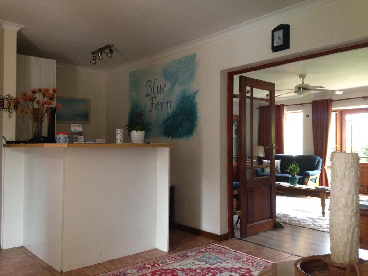 Blue Fern Of Knysna Bed & Breakfast Luaran gambar