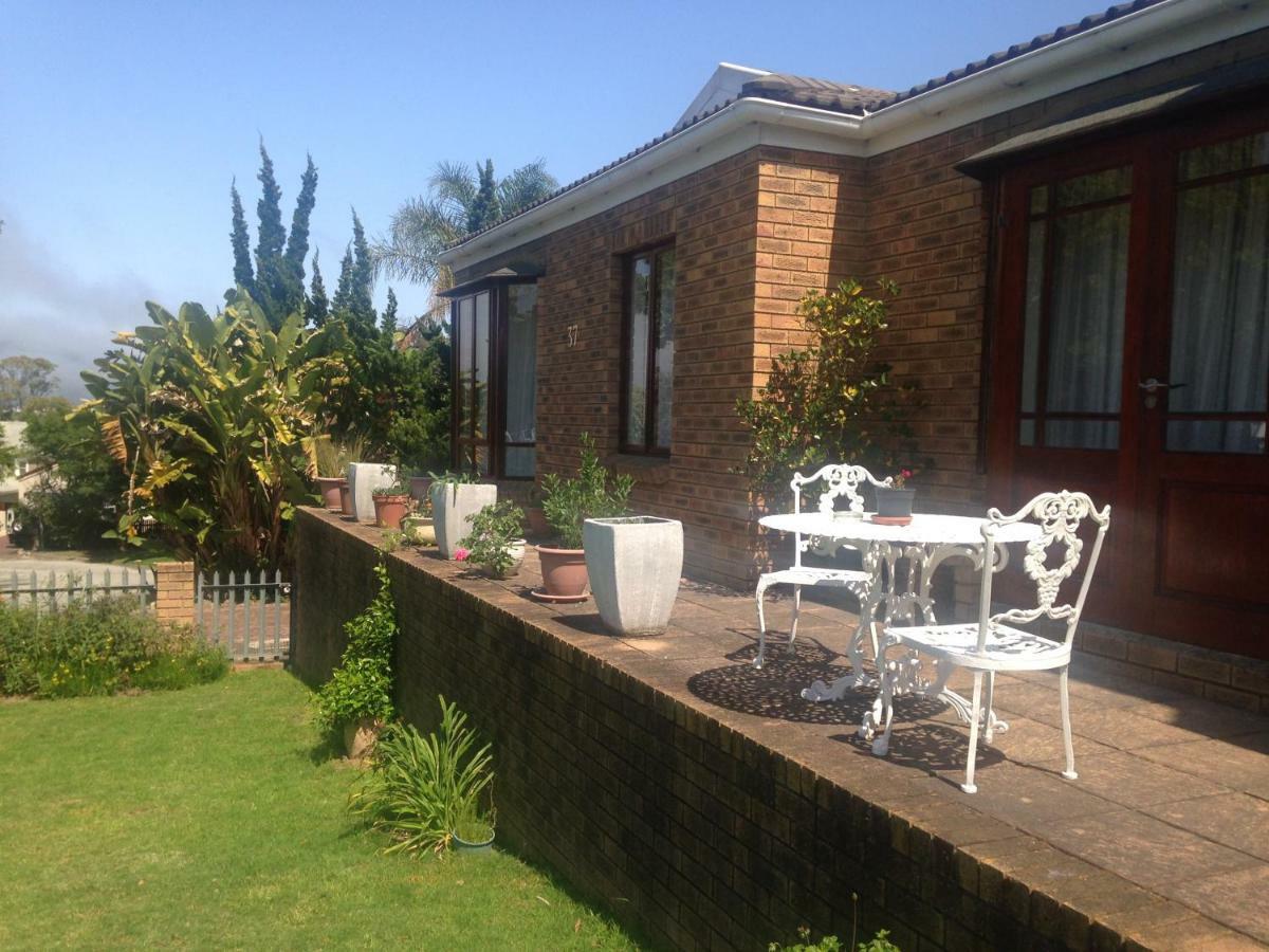 Blue Fern Of Knysna Bed & Breakfast Luaran gambar
